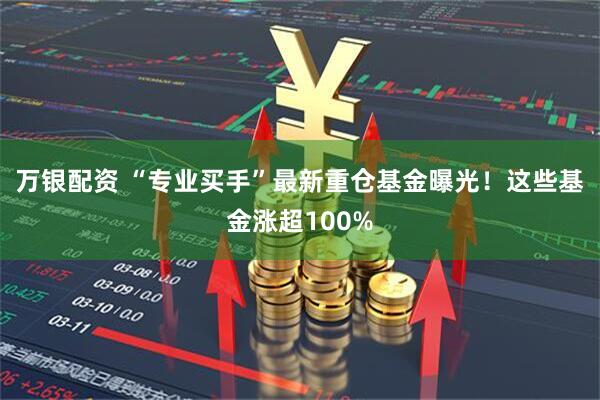 万银配资 “专业买手”最新重仓基金曝光！这些基金涨超100%