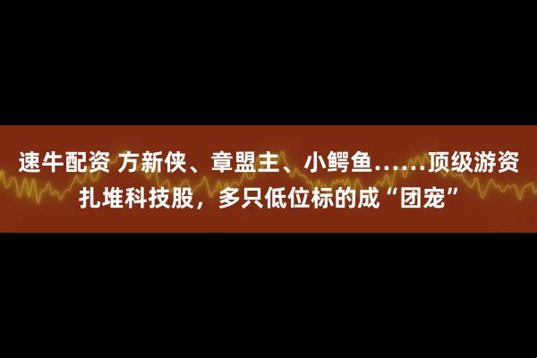 速牛配资 方新侠、章盟主、小鳄鱼……顶级游资扎堆科技股，多只低位标的成“团宠”