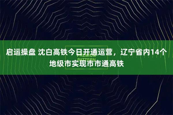 启运操盘 沈白高铁今日开通运营，辽宁省内14个地级市实现市市通高铁